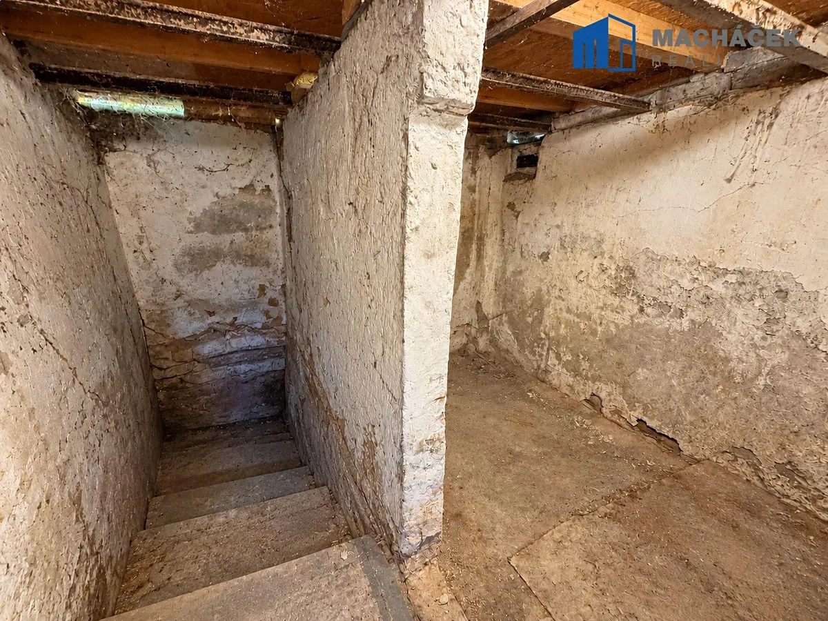 Fotka 14 z 25